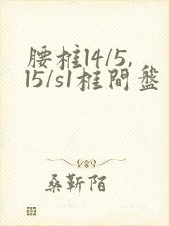 腰椎l4/5,l5/s1椎间盘