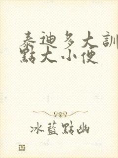 泰迪多大训练定点大小便