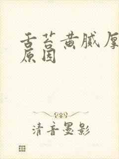 舌苔黄腻厚什么原因