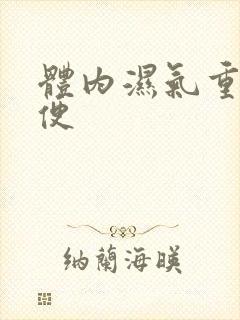 体内湿气重不排便