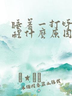 睡着一打呼噜就醒什么原因