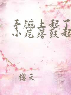 手腕上起了一片小疙瘩鼓起硬硬的