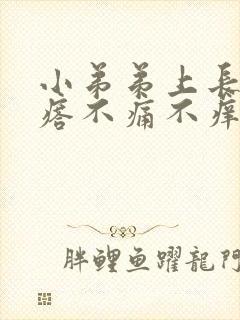 小弟弟上长个疙瘩不痛不痒