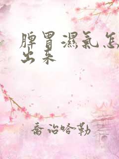 脾胃湿气怎么排出来