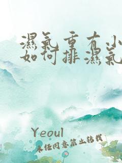 湿气重有小肚子如何排湿气