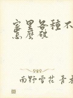 家里各种不顺,怎么破