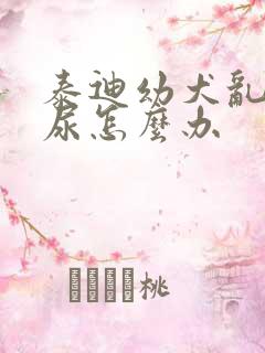 泰迪幼犬乱拉乱尿怎么办