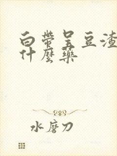 白带呈豆渣状用什么药