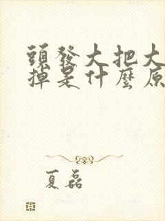 头发大把大把的掉是什么原因女生