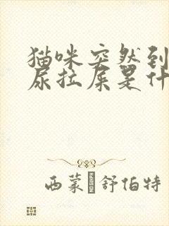 猫咪突然到处乱尿拉屎是什么原因