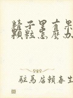 精子里有果冻状颗粒怎么办