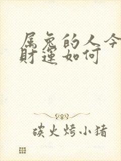 属兔的人今日偏财运如何