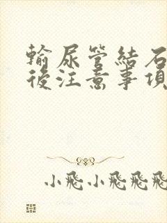 输尿管结石治疗后注意事项