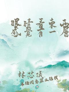 眼睛看东西模糊感觉有一层雾