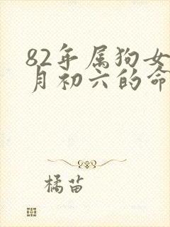 82年属狗女六月初六的命运