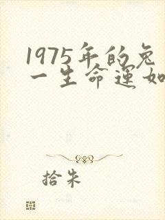 1975年的兔一生命运如何