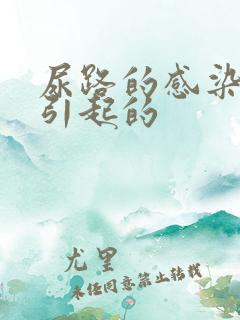 尿路的感染怎么引起的