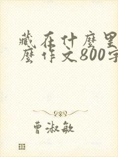 藏在什么里的什么作文800字