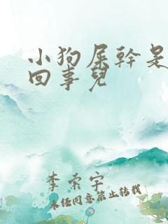 小狗屎干是怎么回事儿