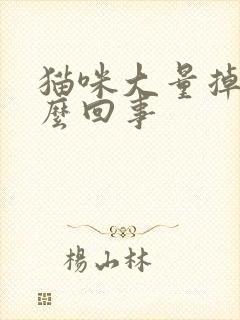 猫咪大量掉毛怎么回事