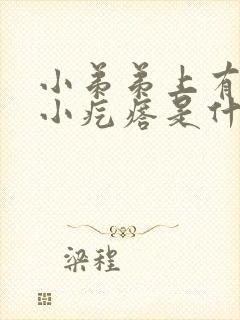 小弟弟上有一个小疙瘩是什么