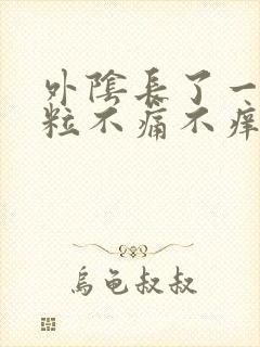 外阴长了一颗肉粒不痛不痒