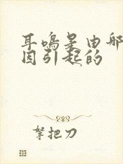 耳鸣是由哪些原因引起的