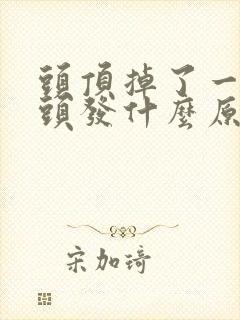 头顶掉了一小块头发什么原因