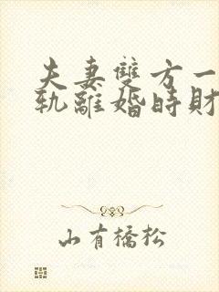 夫妻双方一方出轨离婚时财产如何分割