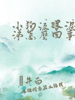 小狗流眼泪流鼻涕怎么回事