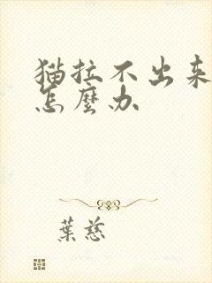 猫拉不出来屎尿怎么办