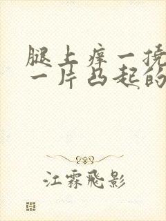 腿上痒一挠就起一片凸起的疙瘩