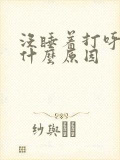 没睡着打呼噜是什么原因