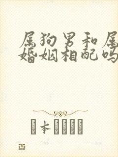 属狗男和属鸡女婚姻相配吗