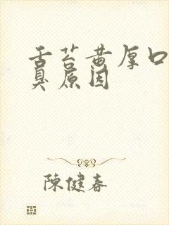 舌苔黄厚口苦口臭原因