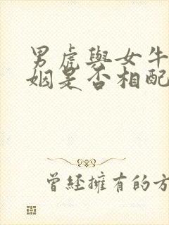 男虎与女牛的婚姻是否相配