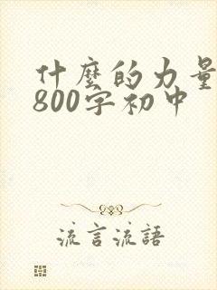 什么的力量作文800字初中
