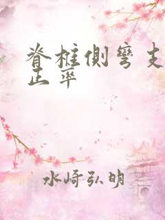 脊椎侧弯支具矫正率