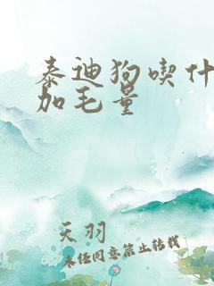 泰迪狗吃什么增加毛量