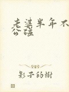 老婆半年不让老公碰