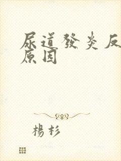 尿道发炎反复的原因