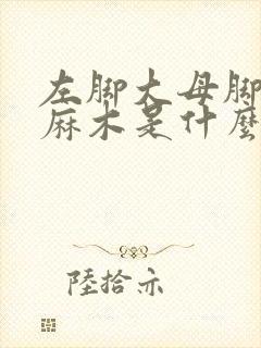 左脚大母脚趾头麻木是什么原因