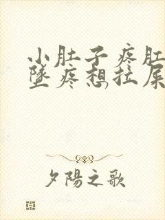 小肚子疼肛门下坠疼想拉屎拉不出来