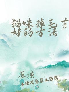 猫咪掉毛有没有好的方法