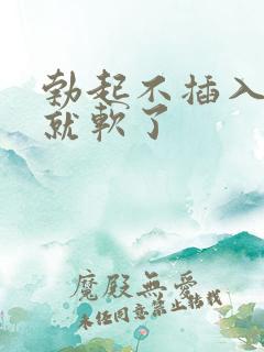 勃起不插入一会就软了