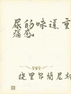 尿的味道重有刺痛感