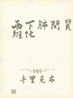 两下肺间质性纤维化