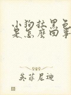 小狗拉黑色稀便是怎么回事