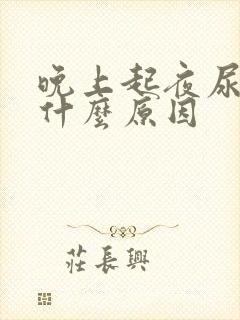 晚上起夜尿多是什么原因