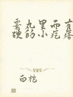 睾丸里面有个硬硬的小疙瘩有点疼怎么回事